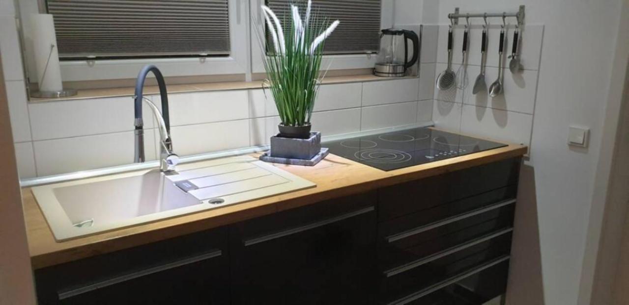Schicke Ferienwohnung Mit Harzblick Fuer 1-2 Oder 1-4 Personen Goslar Zewnętrze zdjęcie